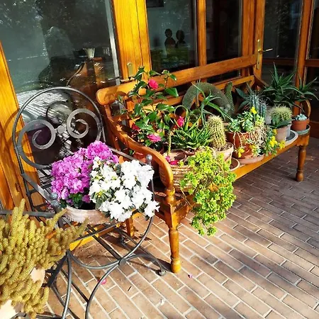 La Piracanta Apartment